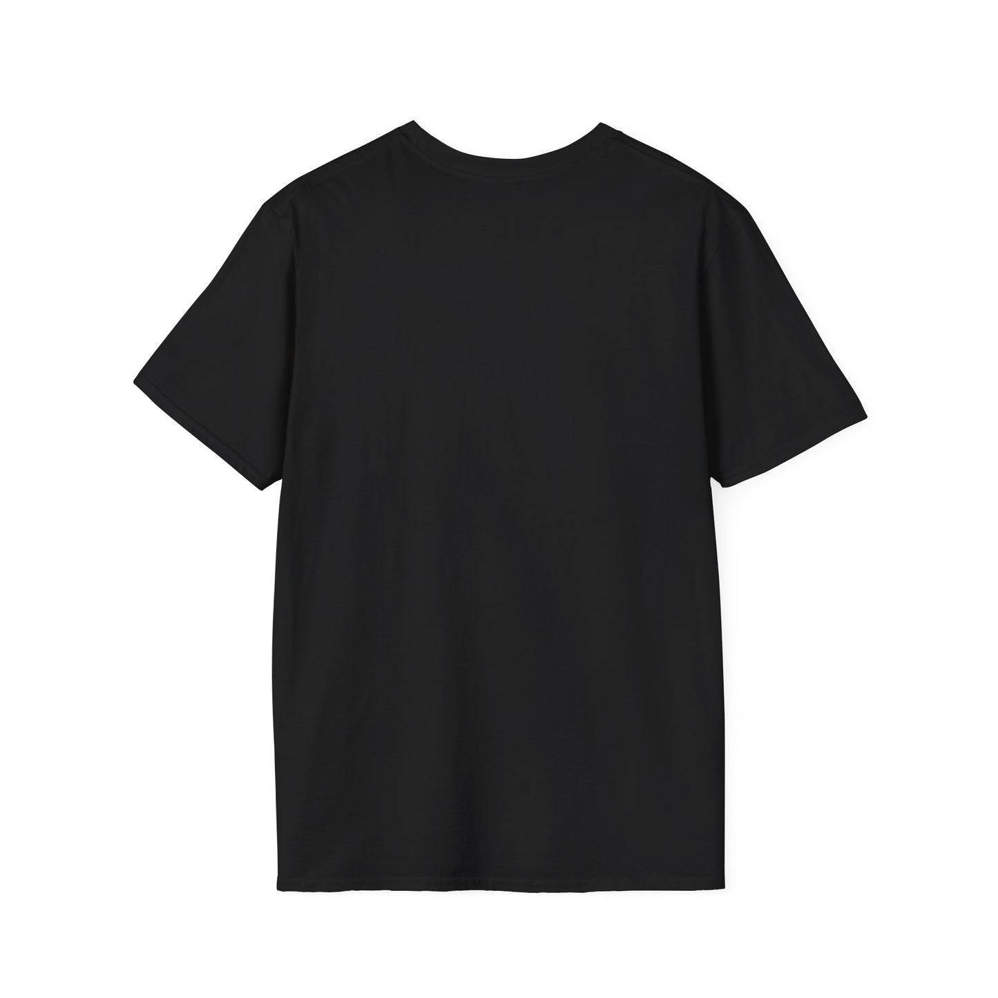 Whimsical Snail Unisex Softstyle T-Shirt - 'It's OK to Go at Your Own Pace'