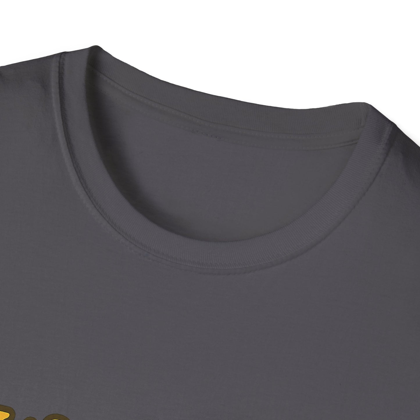 Whimsical Snail Unisex Softstyle T-Shirt - 'It's OK to Go at Your Own Pace'