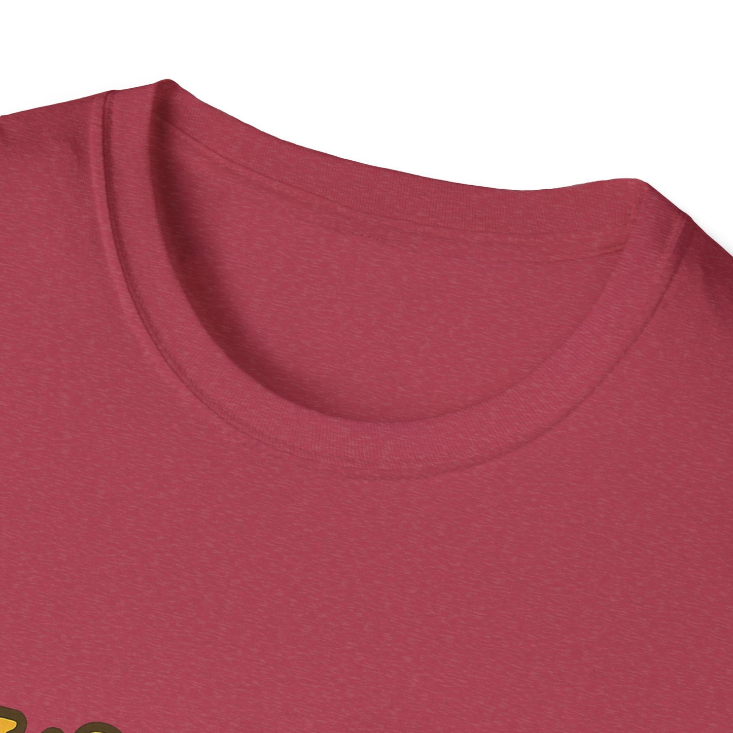 Whimsical Snail Unisex Softstyle T-Shirt - 'It's OK to Go at Your Own Pace'