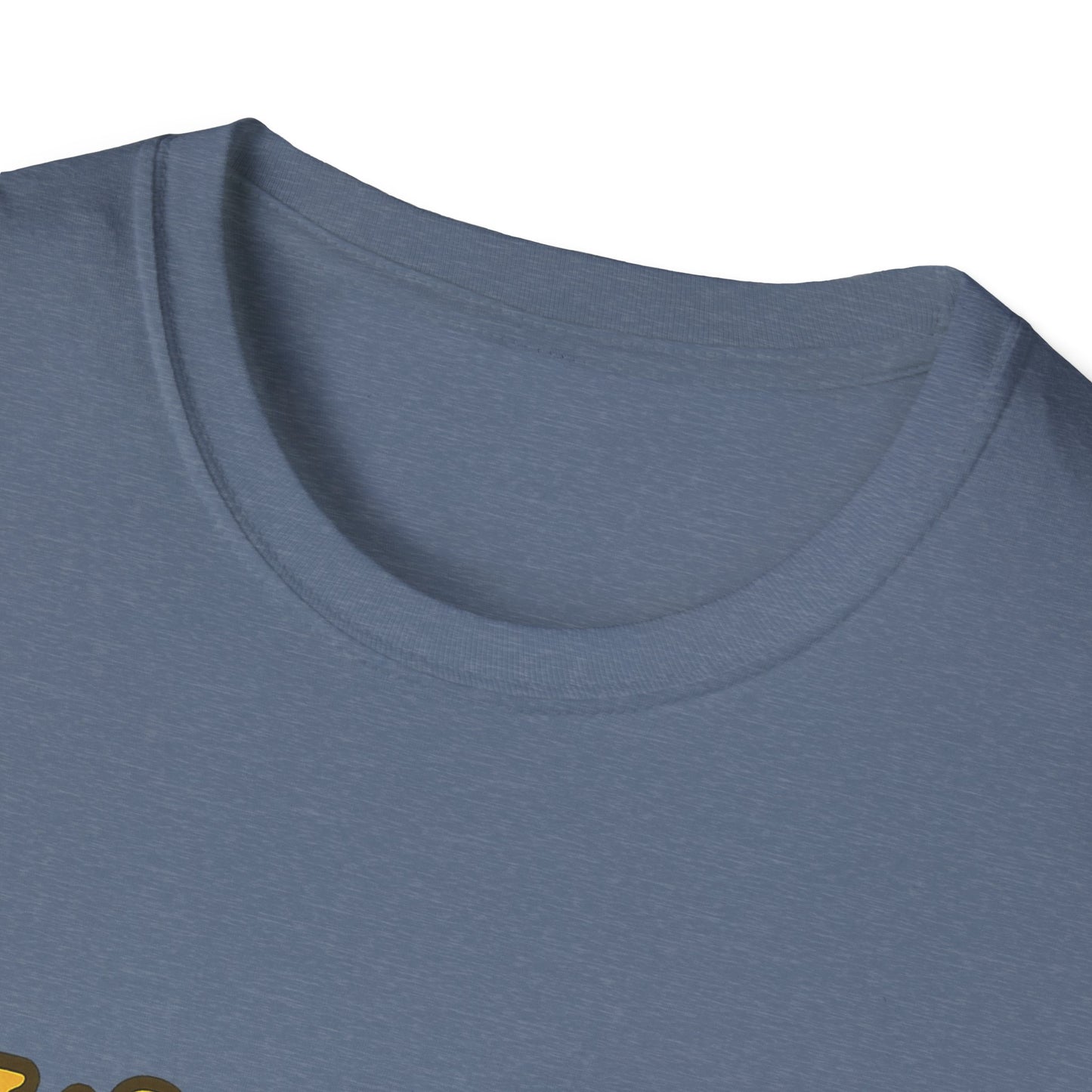 Whimsical Snail Unisex Softstyle T-Shirt - 'It's OK to Go at Your Own Pace'